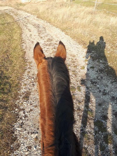 Photos of Equestrian Club "Favorit - Bogyovtsi"