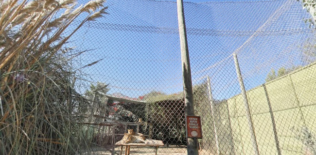 Comentarios y opiniones de Zoologico la Serena