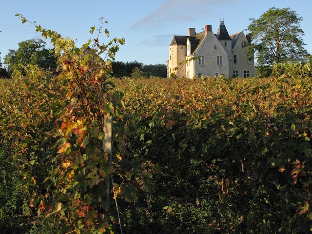 Château de la Roche