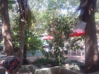 Photos of Hotel Blossom