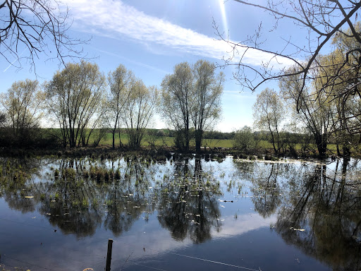 Scheelhecke - Visual