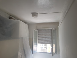 Photo n°21 de sos nacel à Déols (Service d'élagage)