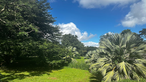Kahua Nui-Makai (Ho'omaluhia) Campsites - Thumbnail