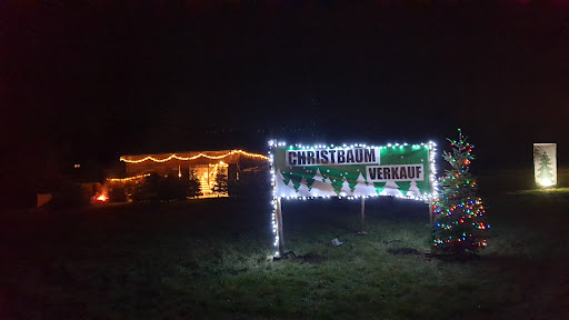 Weiß Weihnachtsbaumverkauf (WBW) - Thumbnail