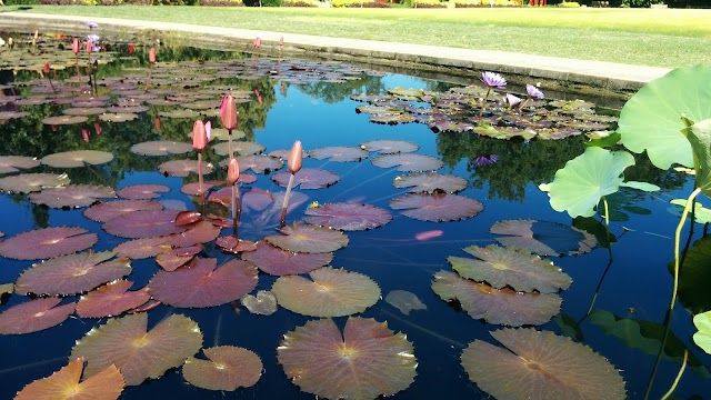 Atlanta Botanical Garden