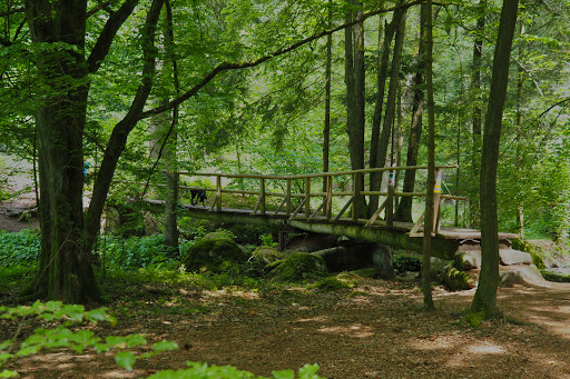 Hölle Nature Reserve - Thumbnail