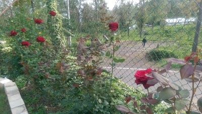 Photos of Nimruk Cottage