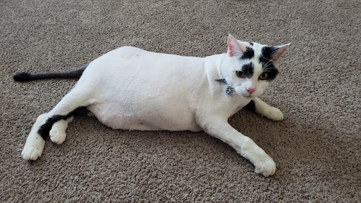 Pets Choice Grooming and Supply - Thumbnail