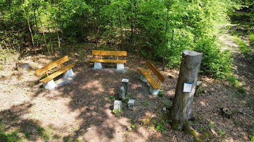 Dreiherrenstein - Visual