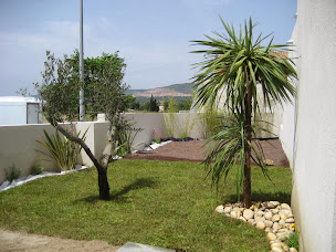 Photo n°6 de Botania à Vailhauquès (Paysagiste)