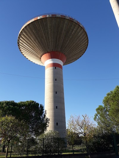 Stadio" Michele Lorusso"