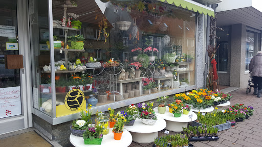 Rosis Blumenstudio