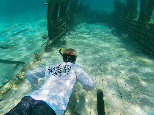Grateful Diver - Visual