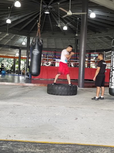 Photos of Factory Boxing Fitness Gym