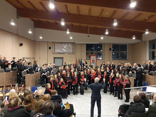 Comune di Ardea - Sala consiliare