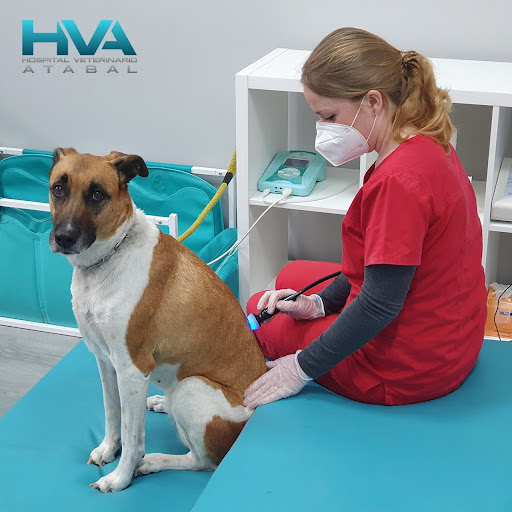 Hospital Veterinario Atabal