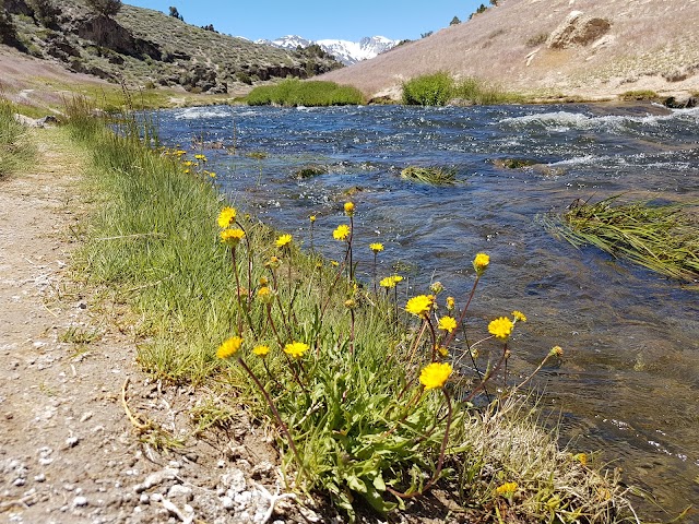 Hot Creek Geological Site