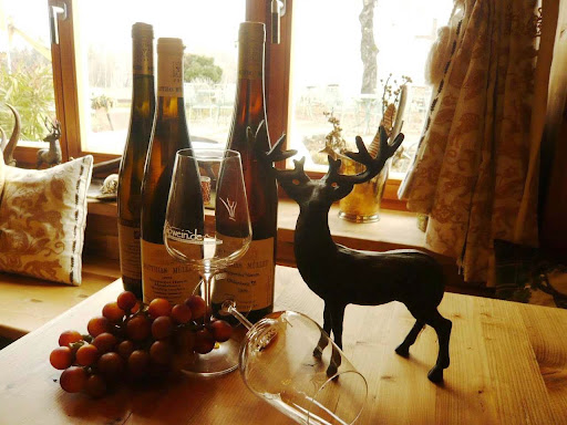 Kapwein - Visual