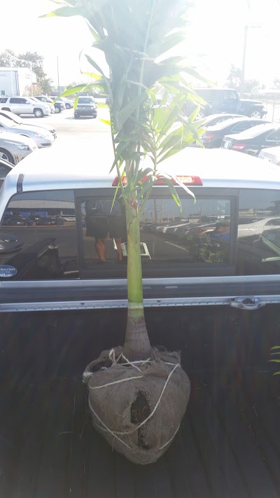 Photos of A & E Auto Sales And Repair