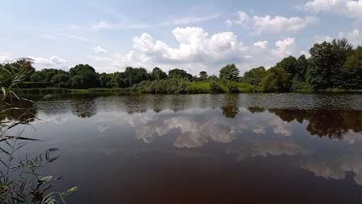 Brook Wildlife Area