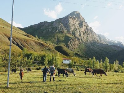 Mağaçur Yayla