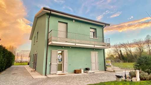 Veterinary Surgery Right Secchia