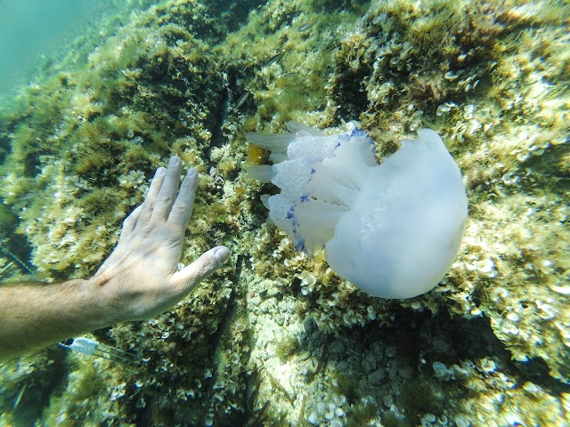 Spiaggia di Sa Mesa Longa
