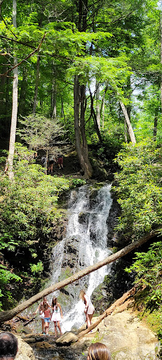 Smokey mountains state park Gallery - United States