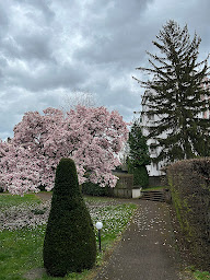 Photo n°5 de Selena immo - Agence immobilière Strasbourg Eurométropole à Strasbourg (Agence immobilière)