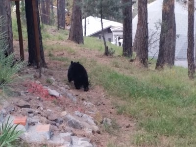 USDA Forest Service - Smokey Bear Ranger District