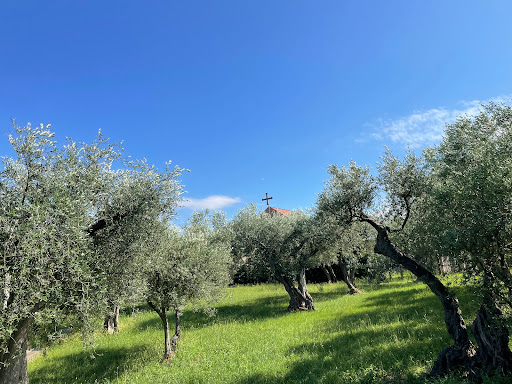 Benedictine Monastery - Visual