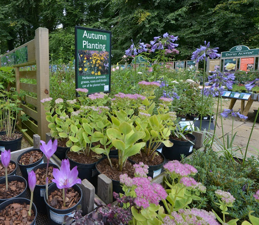 The Alnwick Garden Plant Centre and Nursery - Thumbnail