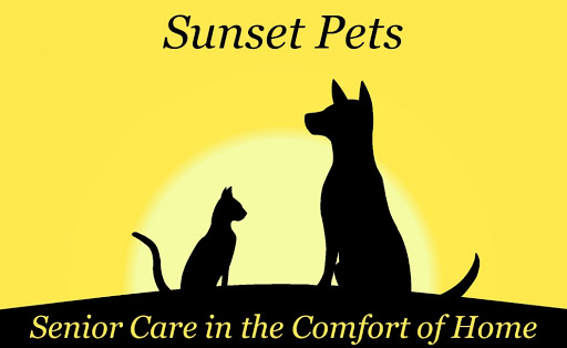 Sunset Pets - Visual