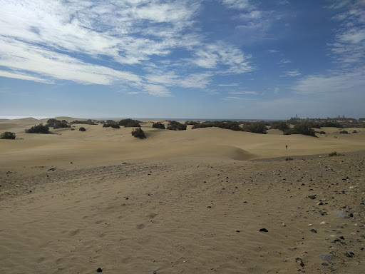 Automocion Maspalomas, S.L. - Thumbnail