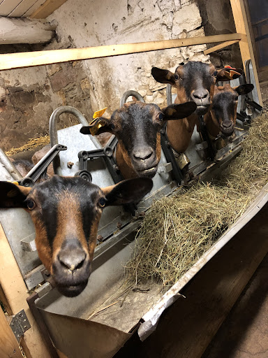 Azienda agricola Zasso