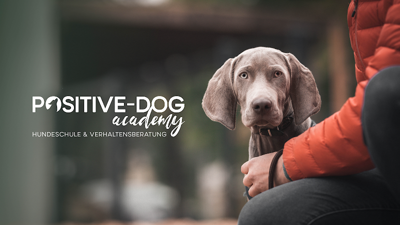 Hundeschule Bielefeld