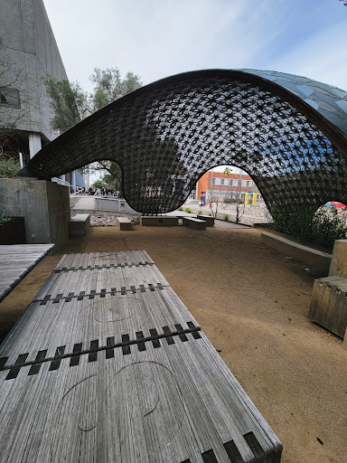 Sonoran Pentapus (Gridshell) Gallery - United States