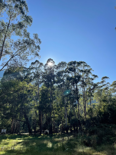 Camp Flat - Visual