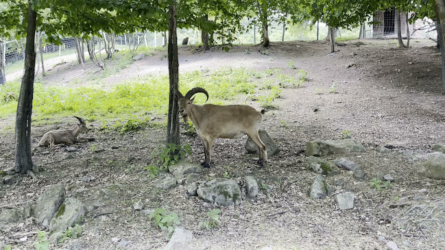Zveropark Otváracie hodiny