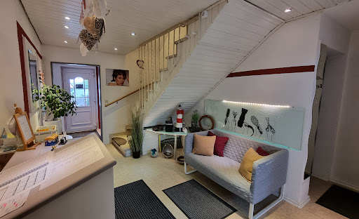 Studio Ambiente - Visual