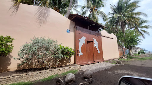 Rancho Los delfines, San Blas.