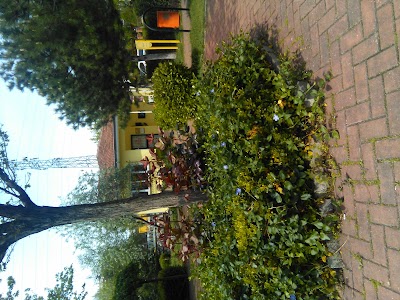 Photos of esentepe dinlenme parkı