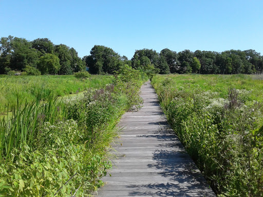 Carol H Sweet Nature Center Gallery - United States