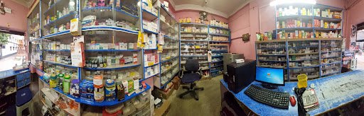 Gallery image 13
