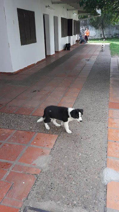 Photos of Veterinaria "Mascotas"