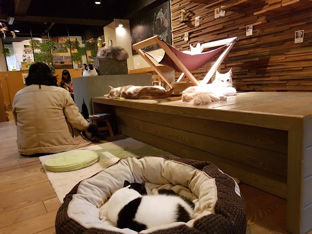 Neko no Jikan