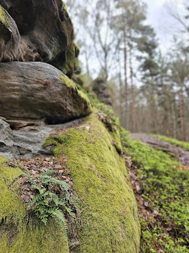 Sandsteinhöhlen - Visual