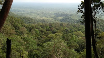 Photos of Gunung Maras