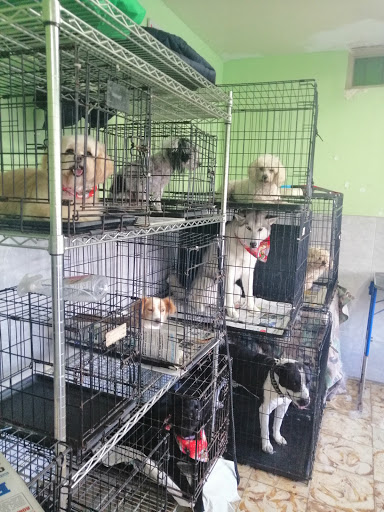 Veterinaria Delante