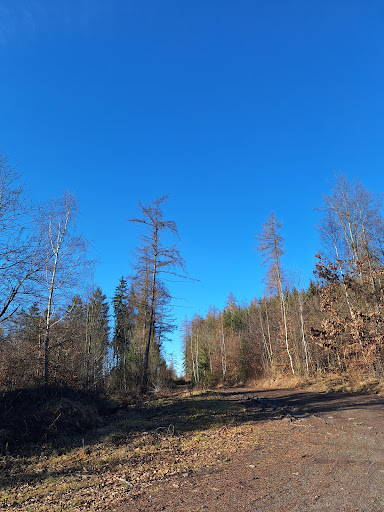 Schutzhütte "Am Sandacker" - Visual